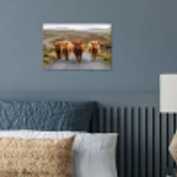 Schotse Hooglanders - Weg - Landschap - Kudde poster papier klein -sfeer2