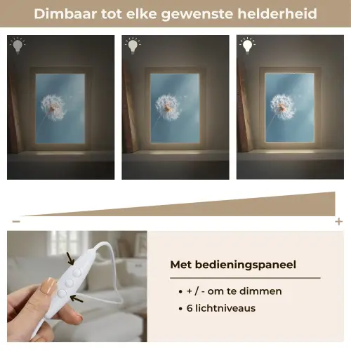 Paardenbloem - Wind - Blauw Light Box met kabel (Tafellamp) klein -USP_dimbaarNL