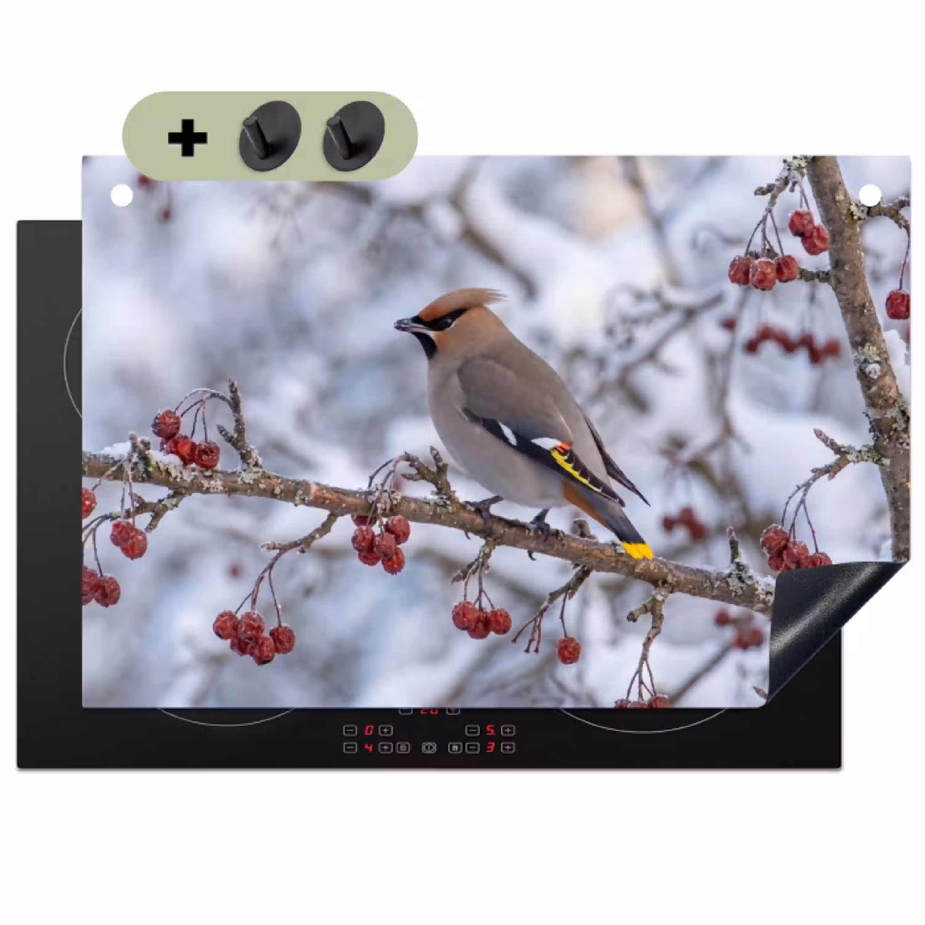 Pestvogel - Bessen - Winter - Natuur Inductie beschemer met haakjes klein -3d