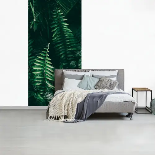 Bladeren - Jungle - Natuur - Tropisch - Planten fotobehang vinyl groot -slaapkamer