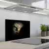 Vogel - Adelaar - Roofvogels - Oog - Snavel - Licht keuken achterwand spatscherm klein -3d_schuin