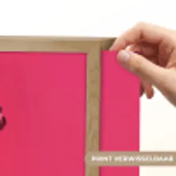 Schepijs - Roze - Hoorntje Light Box met batterij (Wandlamp) middel -USP_websiteprintNL