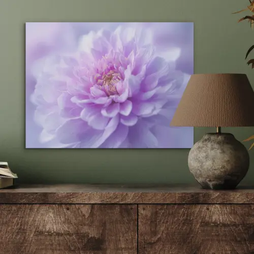 Paars - Dahlia - Dromerig PET vilt klein -sfeer2