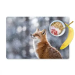 Vos - Sneeuwval - Portret - Winter - Sfeervol Placemat vinyl groot -zzzproduct_Kitchenyeah-website