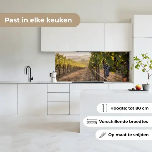 Druiven - Wijngaard - Zonlicht keuken achterwand 2 middel -sfeer4_NL