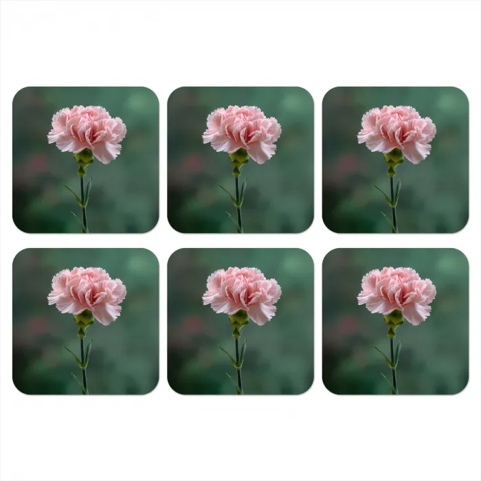 Anjer - Roze - Bloemblaadjes onderzetter kurk middel -3d