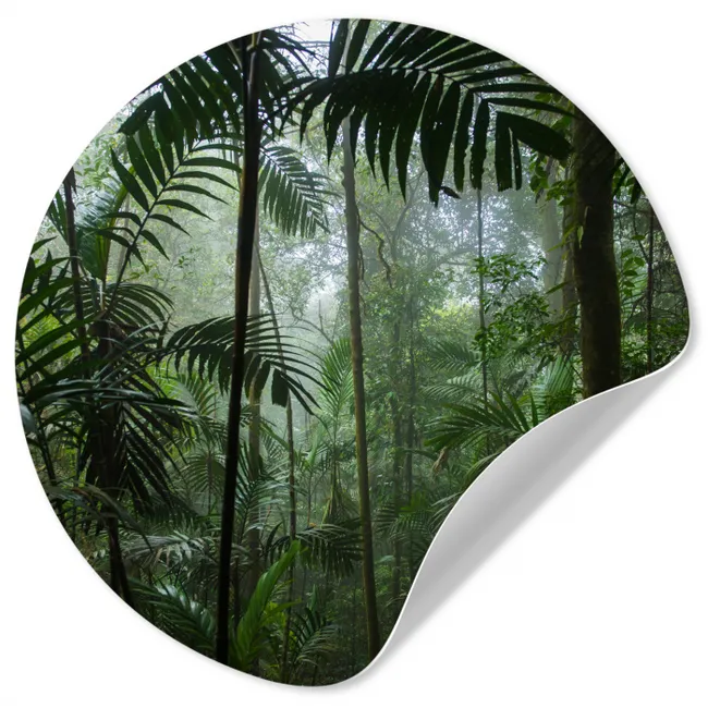 Regenwoud - Tropisch - Jungle - Bomen - Planten Wandcirkel behangsticker klein -3d