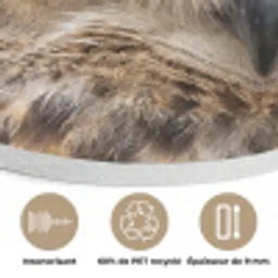 Oehoe - Uil - Portret - Bruin Akoestische PET Vilt - Rond klein -closeup_FR