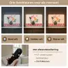 Vaas - Bloemen - Vlinder - Rood Light Box met batterij (Wandlamp) middel -USP_lichtkleurNL