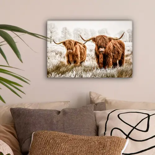 Schotse hooglander - Koe - Natuur - Winter canvas 2cm klein -sfeer1