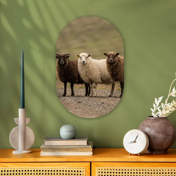 Schapen - Bruin - Wit - Grindpad Wandcirkel Ovaal Forex klein -sfeer2