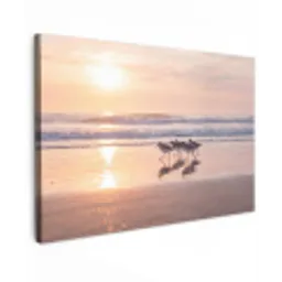 Zee - Vogels - Strand canvas 2cm klein -z3d