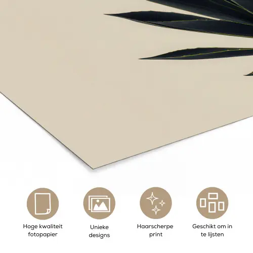 Agaveplant - Symmetrisch - Groen poster papier klein -closeup_NL