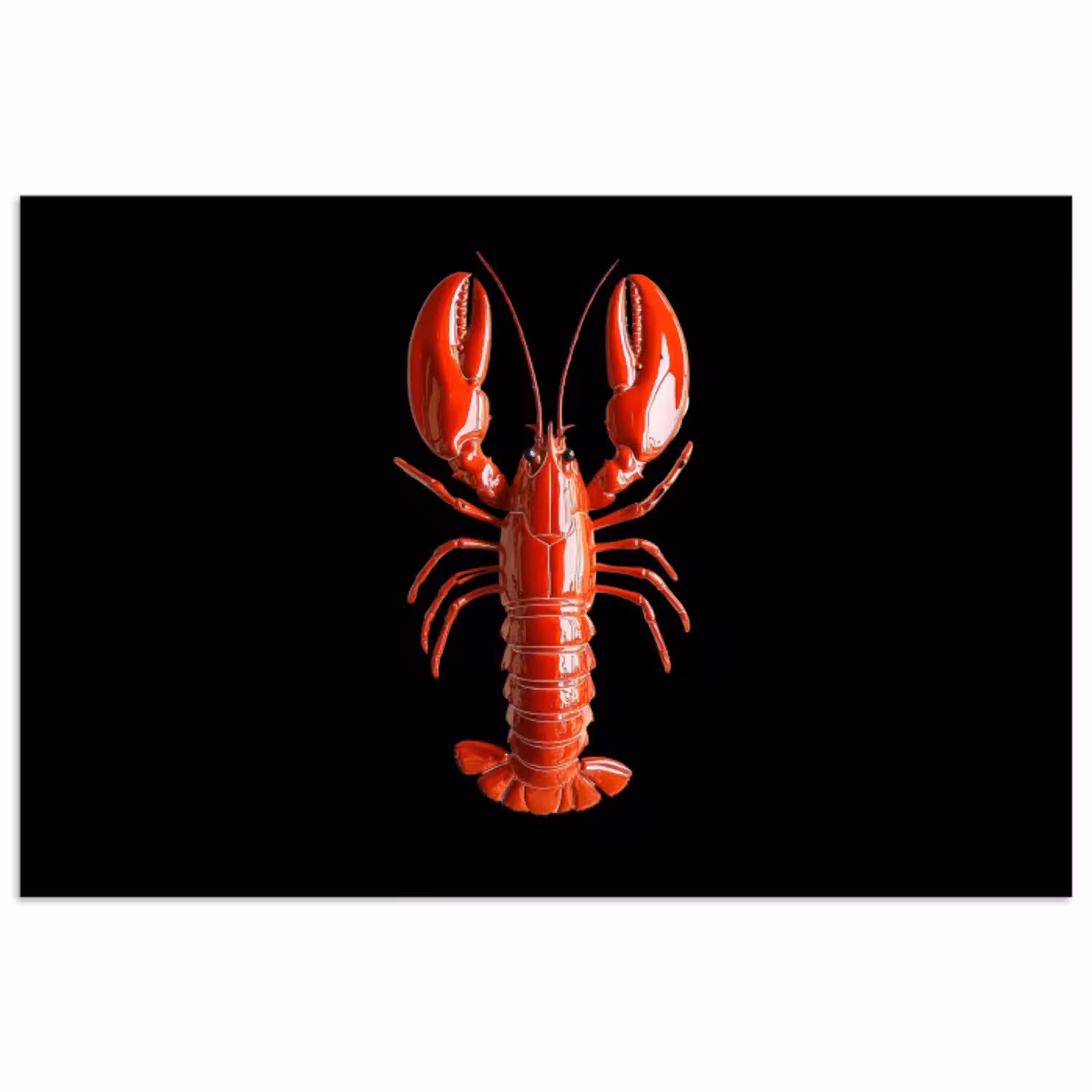 Kreeft - Glossier Rood - Zwart poster papier klein -3d