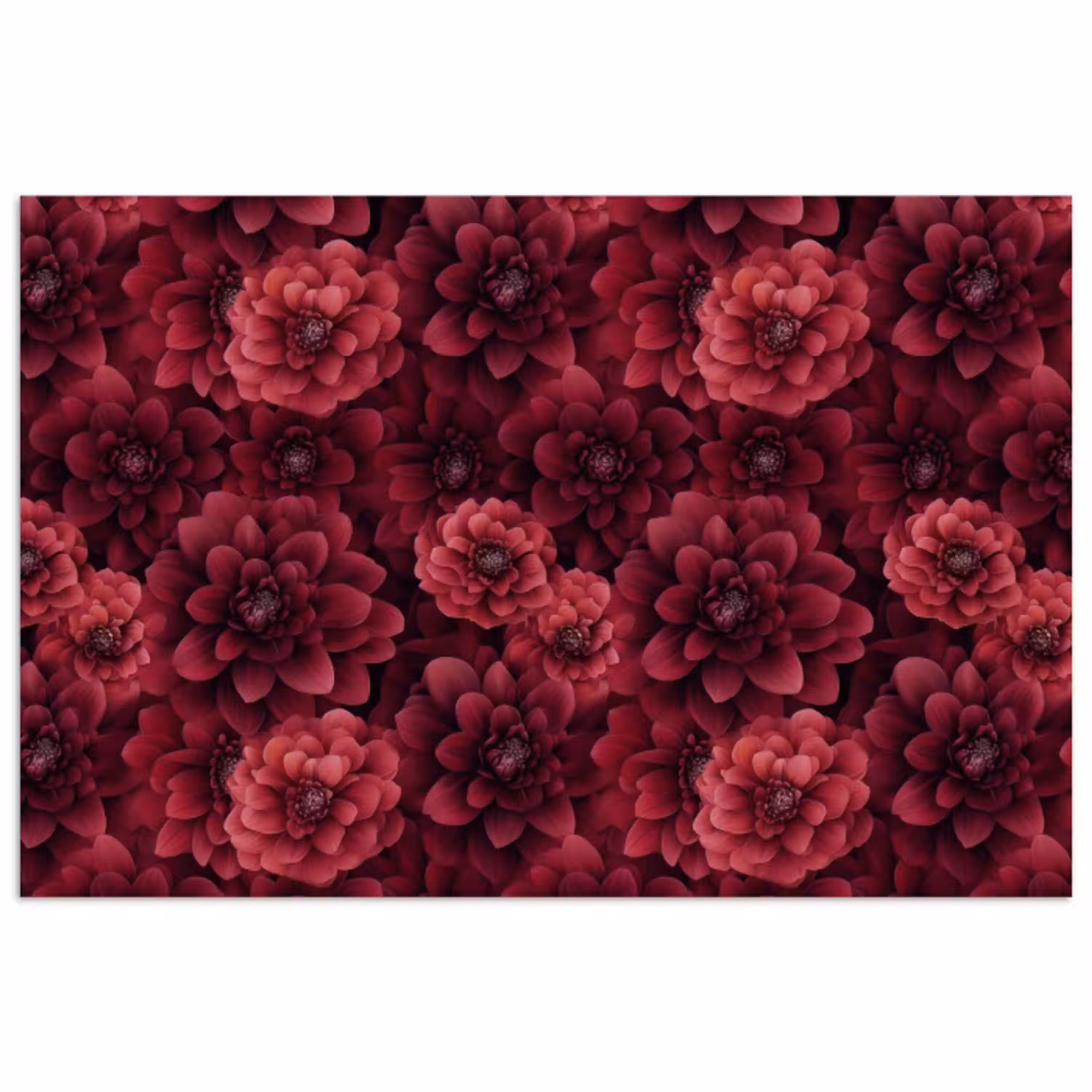 Dahlias - Bloemen - Rood poster papier klein 62 -3d