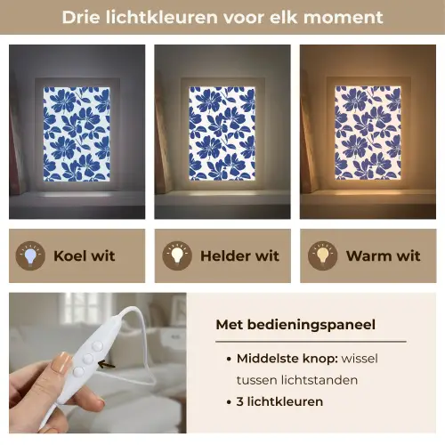 Floraal - Modern - Blauw Light Box met kabel (Tafellamp) klein 925 -USP_lichtkleurNL