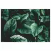Jungle - Bladeren - Tropisch - Planten - Natuur poster papier klein -3d