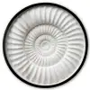 Schelp - Spiraal - Wit Fotolijst rond zonder passe partout klein -3d