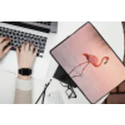 Flamingo - Water - Roze laptophoes neopreen klein -bureau