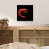 Garnaal - Rood - Dieren aluminium wit klein -sfeer3