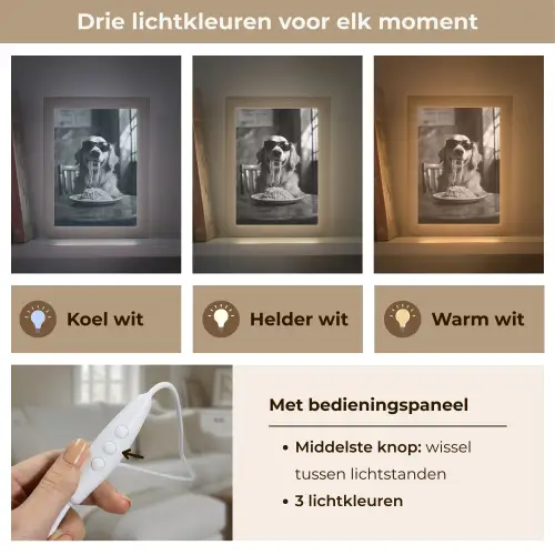 Golden Retriever - Hond - Vrolijk -  Bord spaghetti - Zwart - wit Light Box met kabel (Tafellamp) klein -USP_lichtkleurNL