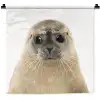 Jongens - Zeehond - Kinderen - Meisjes - Dieren Wandkleed katoen klein -zz3d