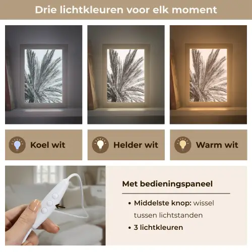 Palmboom - Tropisch - Zwart - Wit Light Box met kabel (Tafellamp) klein -USP_lichtkleurNL
