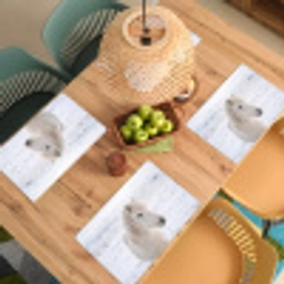 Paard - Kop - Winter - Dieren - Wit Placemat vinyl groot -zzsfeer5_Kitchenyeah-website