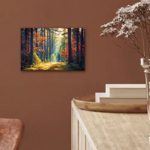 Bos - Zon - Natuur - Herfst aluminium wit klein -sfeer4