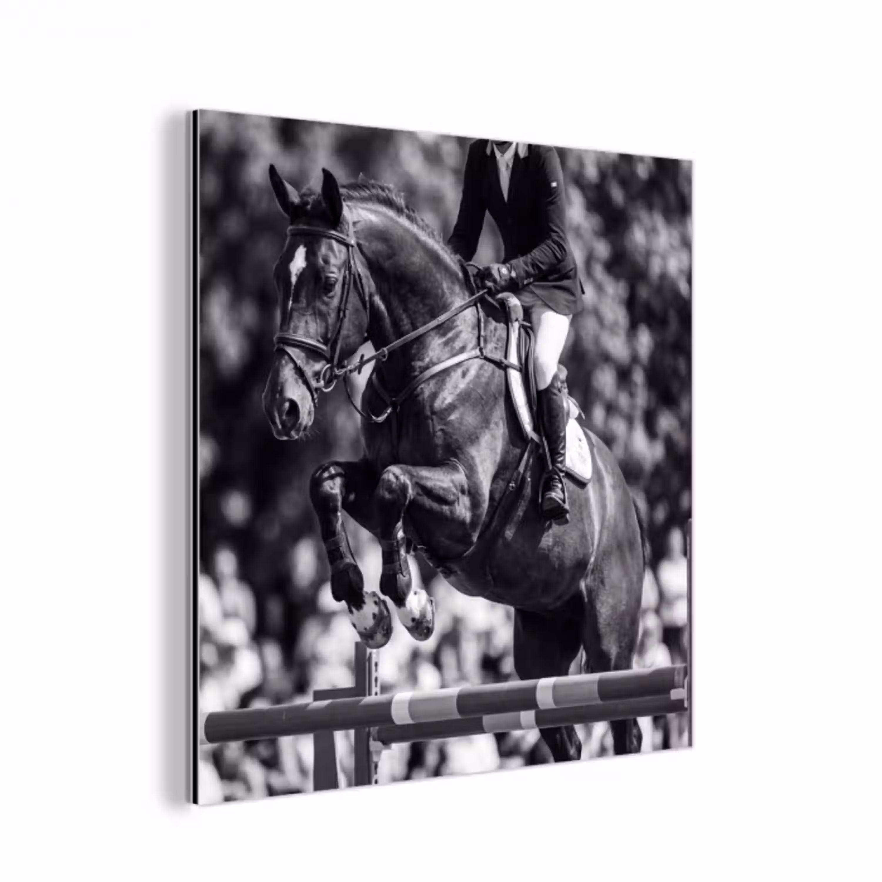 Springen - Paard - Zwart - Wit aluminium wit klein -3d