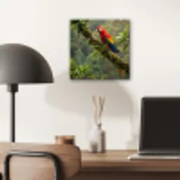 Ara - Jungle - Rood aluminium wit klein -sfeer5