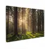 Bos - Gras - Zonlicht Tuinposter op houten frame 2 cm dik klein -3d