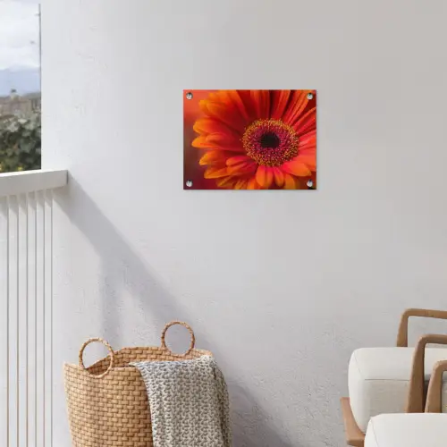 Oranje - Gerbera - Intens tuinposter los doek klein -sfeer8