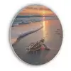 Schildpad - strand - Zonsondergang Akoestische PET Vilt - Rond klein -3d