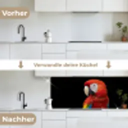 Ara - Portret - Rood keuken achterwand 2 middel -voor-na_DE