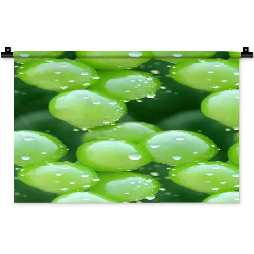 Druiven - Groen - Druppels Wandkleed katoen klein 269 -zz3d