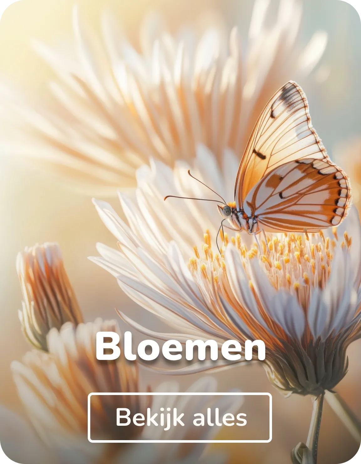 Muurstickers bloemen