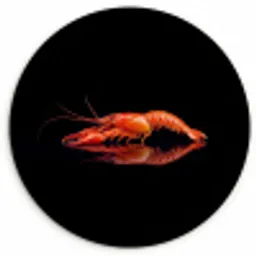 Kreeft - Oranje - Zwart - Opvallend KitchenYeah - Keuken - Wandcirkel Forex klein -3d