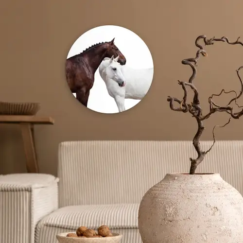 Paard - Modern - Balans Wandcirkel kunststof plaat 5mm dik klein -sfeer1