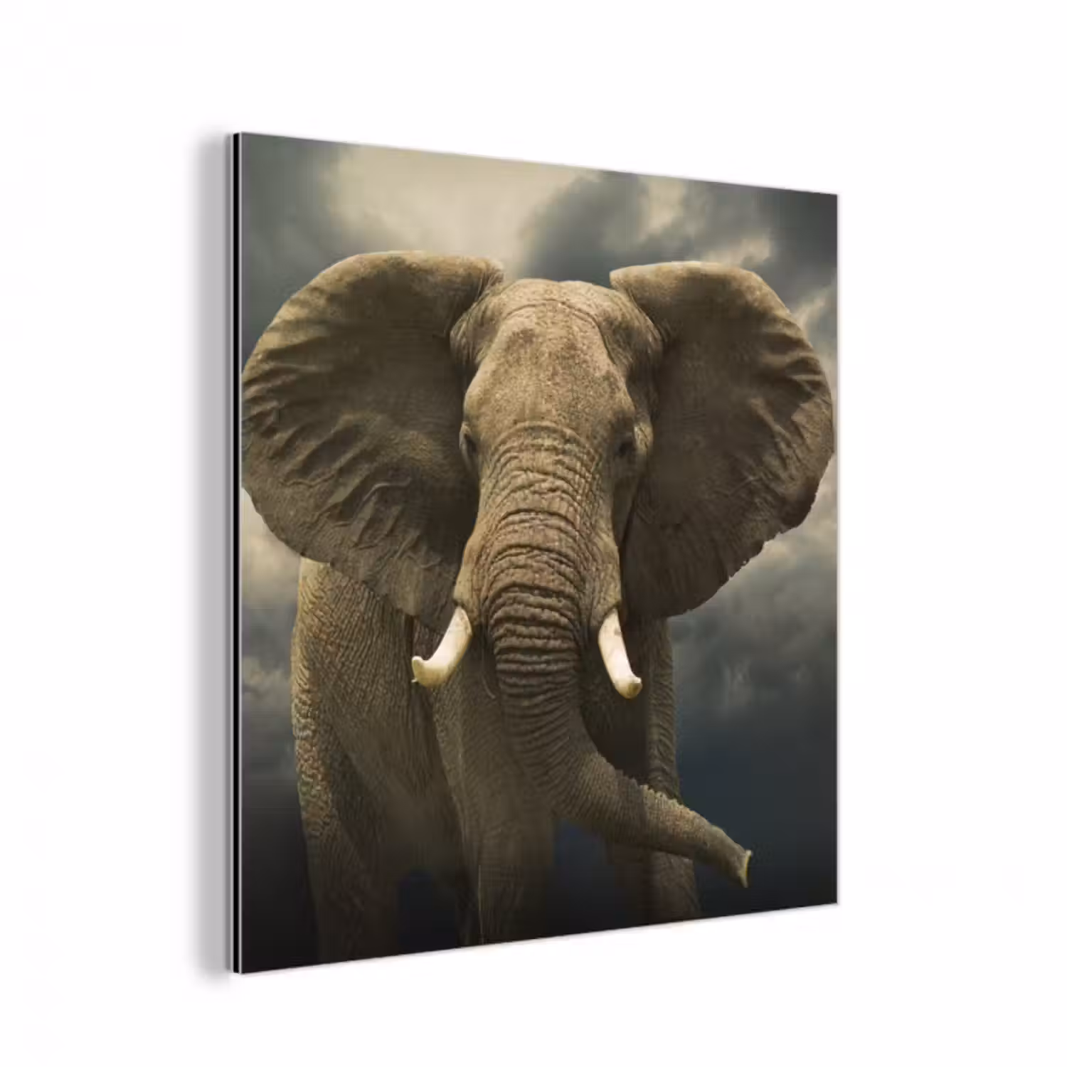 Alu-Dibond-Bild - Afrikanischer Elefant gegen die dunklen Wolken