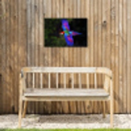 Felgekleurd - Papegaai - Bos - Vleugels Tuinposter op houten frame 2 cm dik klein -sfeer4