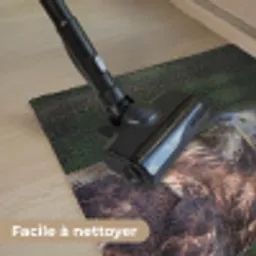 Buizerd - Roofvogel - Natuur - Bruin Deurmat klein -reinigen_FR