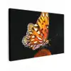 Vlinder - Bloemen - Insect - Portret - Zwart - Oranje canvas 2cm klein -z3d