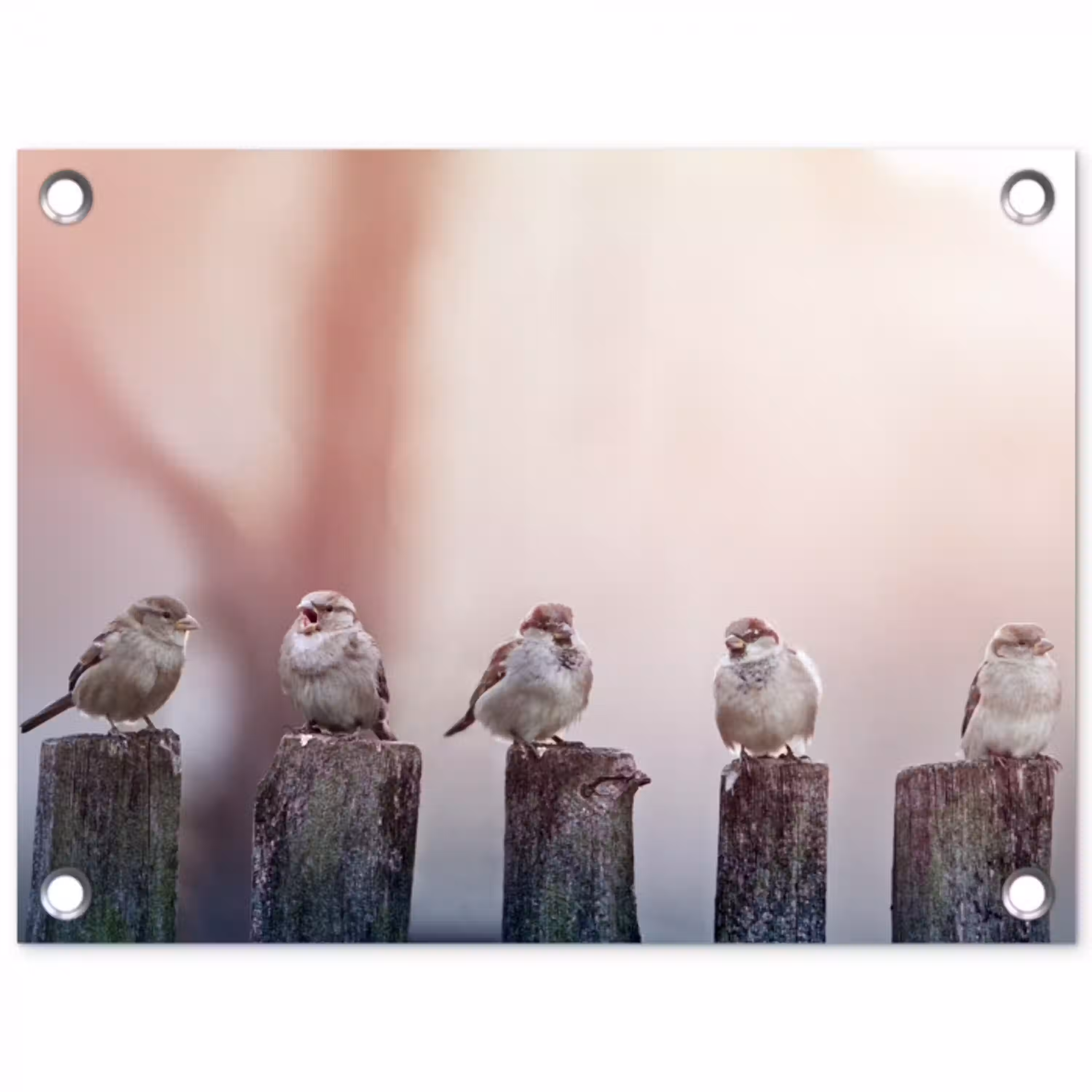 Mussen op Houten Palen tuinposter los doek klein -3d