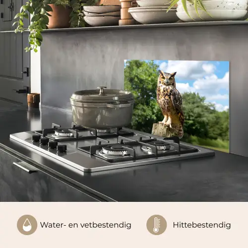 Uil - Boomstronk - Bos - Lucht keuken achterwand spatscherm klein -usp_NL