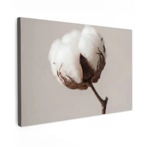 Katoenbol - Minimalistisch - Wit Tuinposter op houten frame 2 cm dik klein -3d