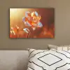 Glazen - Bloem - Zonlicht canvas 2cm klein -sfeer3