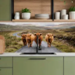 Schotse Hooglanders - Weg - Landschap - Kudde keuken achterwand 2 middel -sfeer3