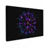 Bloem - Paars - Blauw - Macro - Zwart Tuinposter op houten frame 2 cm dik klein -3d