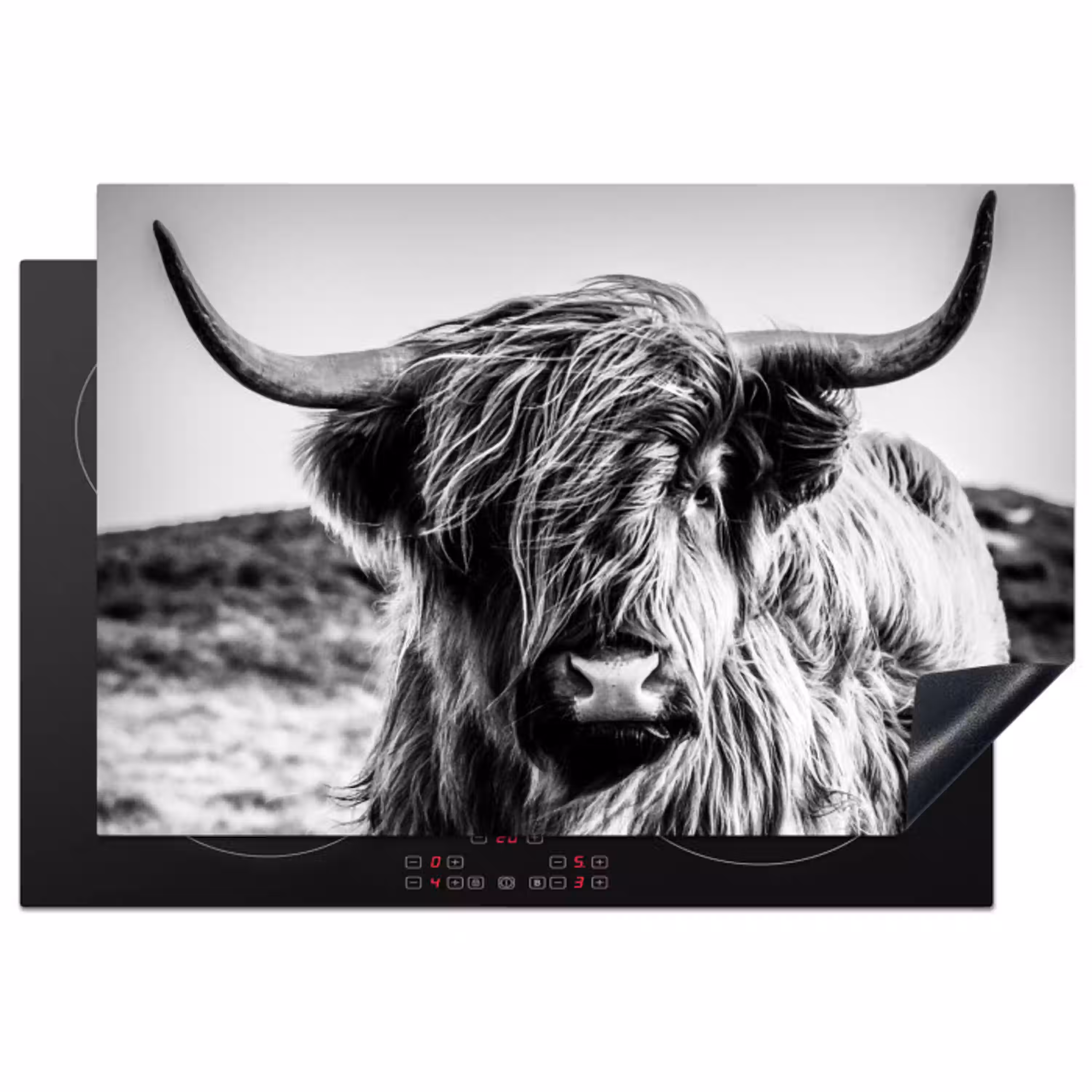 Schotse hooglander - Natuur - Koe - Zwart - Wit Inductie beschermer vinyl 3mm klein -3d